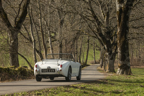 Austin-Healey Sprite (1959) - kein durchgehender Stossfänger am Heck