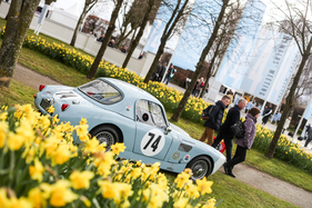 Austin-Healey passend zur Veranstaltungsfarbe - Goodwood Members Meeting 2016