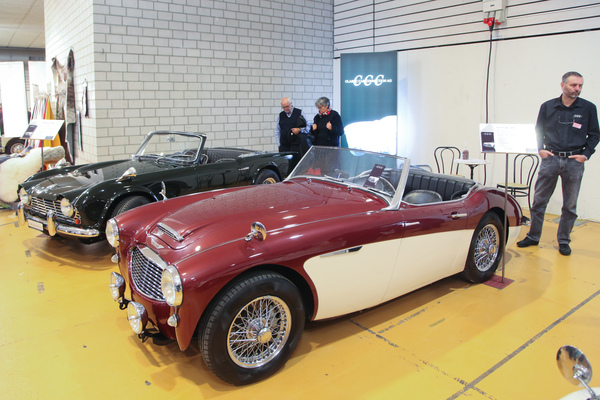 Austin-Healey und Triumph TR3 bei Classic Car Connection - Oldtimermesse St. Gallen am 30. Oktober 2016