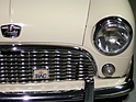 Bild: Austin Mini Schnauzbartgrill