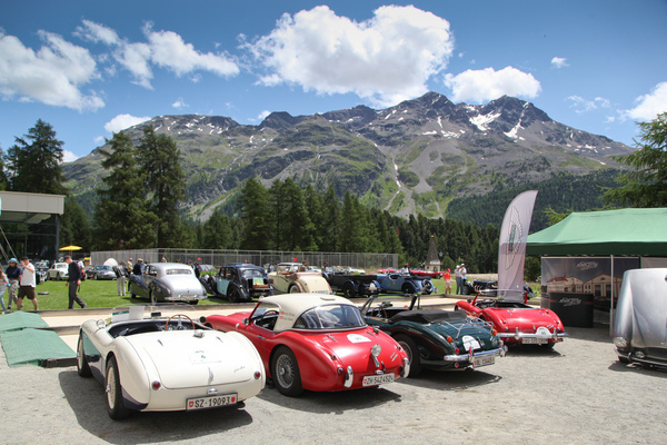 Bild Auswahl an Austin-Healey - 27. BCCM St. Moritz 2021