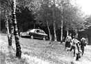 Autobianchi Primula (1965) - für den Ausflug zu Viert mit Hunden