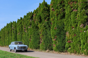 Autobianchi Primula Coupé (1966) - für die Fahrt zum Schloss