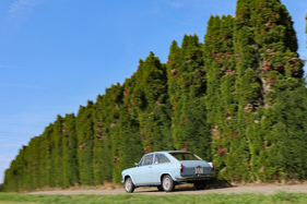 Autobianchi Primula Coupé (1966) - trotz Schrägheck keine grosse Heckklappe