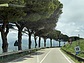Autofahren in seiner schönsten Form (© Gerhard Schütz, 2025) Autofahren in seiner schönsten Form (© Gerhard Schütz, 2025)