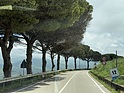 Bild: Autofahren in seiner schönsten Form