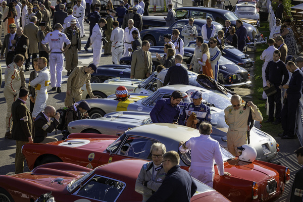 Autos für viele Millionen stehen bereit für den Rennlauf um die Kinrara Trophy -Goodwood Revival 2018