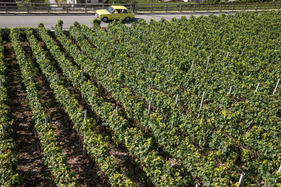 BMW 2000i Touring (1972) - an der 16. OCC Jungfrau-Rallye 2021