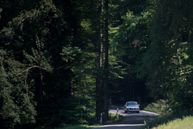 BMW 2500 (1976) - für Leute, die gerne selber am Lenkrad drehen
