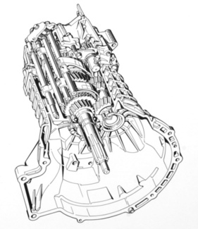 BMW 323i (1983) - 5-Gang-Getriebe - Durchsichtszeichnung
