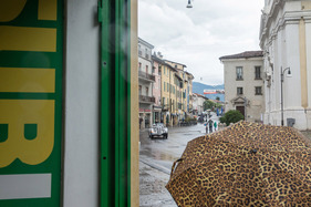 BMW 328 (1939) - 1000 Miglia 2024