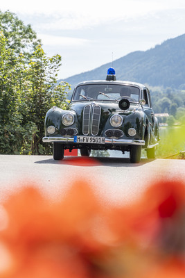 Bild: BMW 501 Funkstreifenwagen (1956) – Concours of Elegance Germany 2024