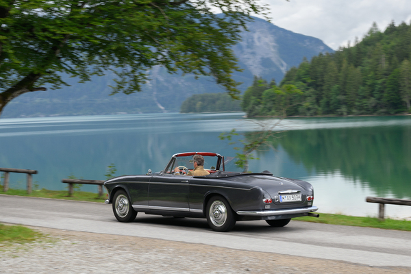 Image: BMW 503 Convertible (1957) - Concours of Elegance Germany 2024