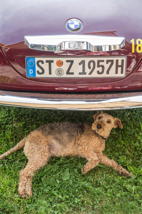 BMW 507 (1957) - Saalbach Classic 2017
