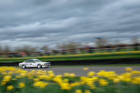 BMW 635 CSI (1983) - Group A Saloons - Goodwood Members' Meeting 2017