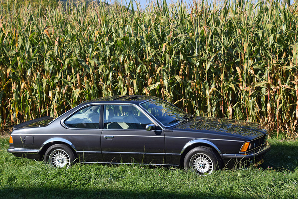 BMW 635 CSi (1985) - als Lot 06 angeboten an der Versteigerung der Oldtimer Galerie anlässlich der Swiss Classic World Luzern am 25. Mai 2019