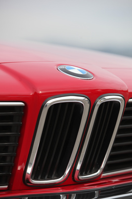 BMW 635 CSi (1986) - BMW-Niere