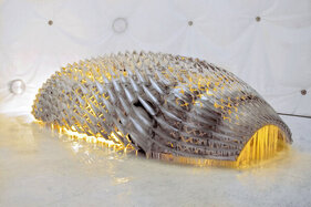 BMW H2R (2007) - Art Car, gestaltet von Olafur Eliasson