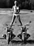 Bild: BMW R 50 (1970) - ansprechend präsentiert
