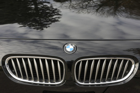 BMW Z4 3.0 (2004) - die Nieren