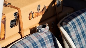Bandwerk special edition Gullwing