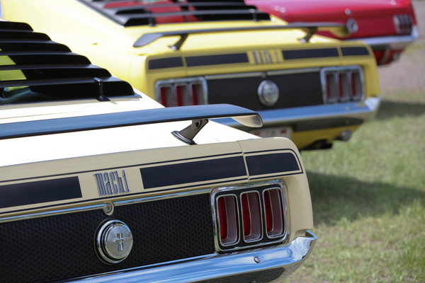 Beflügelt - Mach 1 Modelle - Mustang & Shelby Meeting 2017 in Zug