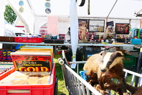 Bei manchem Markstand ist das Angebot doch schon recht weit entfernt vom Thema Auto. – Bockhorner Oldtimermarkt 2025