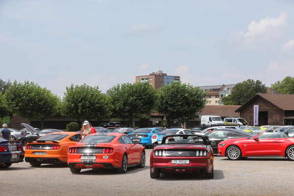 Bei so vielen Mustangs weiss man gar nicht wo man hinschauen soll. Im Zweifelsfall also aufs Handy - 8. Mustang & Shelby Meeting 2024
