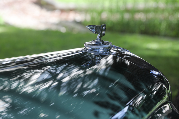 Benltey-B - 30. BCCM St. Moritz "Safari Edition" 2024