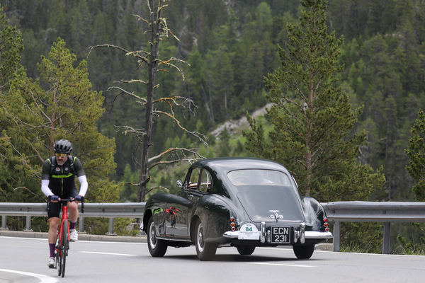 Bentley Continental (1954) - 30. BCCM St. Moritz “Safari Edition” 2024