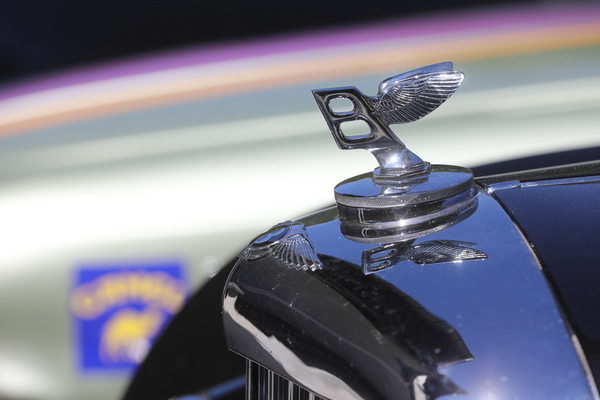 Bentley Continental Franay (1954) - 30. BCCM St. Moritz “Safari Edition” 2024