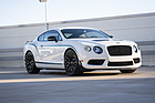 Image: Bentley Continental GT3-R Coupe (2014) - offered as lot 189 at the Bonhams Amelia Island auction on March 5, 2020