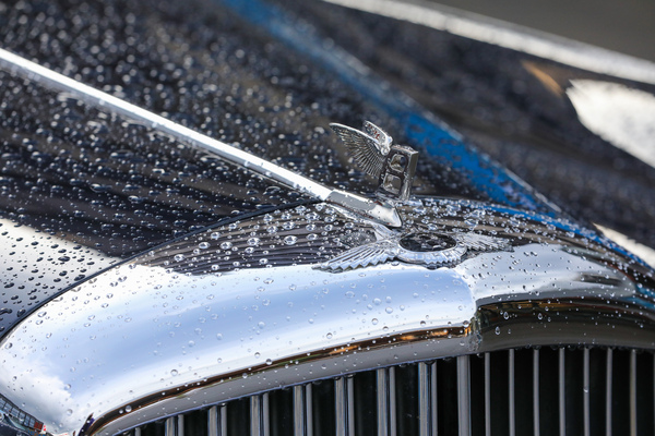 Bentley S1 Continental Park Ward (1956) - Concours d'Excellence Luzern 2024