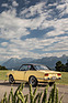 Bertone Racer Berlinetta (1970) - die Berlinetta wurde immer zweifarbig verkauft