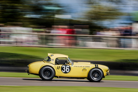 Bill Bridges und Ludovic Lindsay in einer AC Cobra (1963) - Royal Automobile Club TT Celebration (RAC TT) - Goodwood Revival 2015