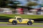 Bill Bridges und Ludovic Lindsay in einer AC Cobra (1963) - Royal Automobile Club TT Celebration (RAC TT) - Goodwood Revival 2015