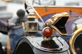 Bissige Schlange am Overland - OSMT Zug September 2015