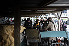 Boxen-Atmosphäre - Goodwood Members Meeting 2016
