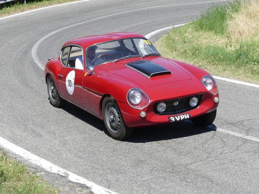 Bristol 406 SC Zagato (1960) - Vernasca Silver Flag 2018