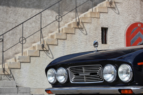 Bristol 411 (1973) - Ornamente