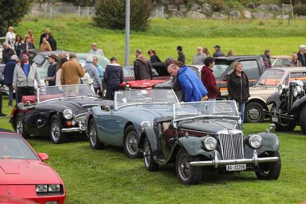 Britische Roadster der späten Fünfzigerjahre - FNA Jahrestreffen 2025