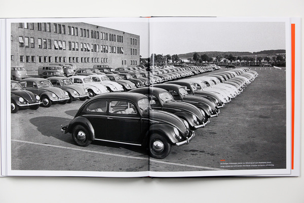 Buch "Als der Käfer laufen lernte" - das Endprodukt aufgereiht