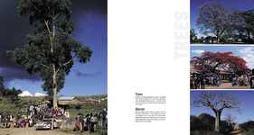 Buch "Safari Rallye" - Gruppe B Buch "Safari Rallye" - Gruppe B