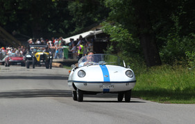Bild Buckle Dart (1959) - am GP Brugger Schachen 2013