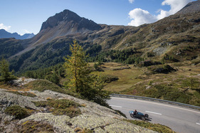 Bugatti 51 (1932) - am Bergrennen Bernina Gran Turismo 2021