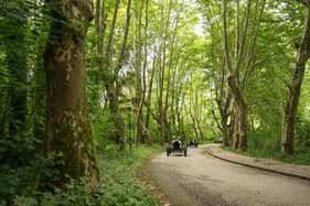 Bugatti Typ 30 (1924) - 33. Ennstal-Classic 2025