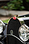 Bugatti Type 49 Roadster (1932) - als Lot 042 angeboten an der Gooding & Co Pebble Beach Versteigerung am 18./19. August 2023 (© Josh Hway - Courtesy Gooding & Co, 2023) Bugatti Type 49 Roadster (1932) - als Lot 042 angeboten an der Gooding & Co Pebble Beach Versteigerung am 18./19. August 2023 (© Josh Hway - Courtesy Gooding & Co, 2023)