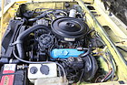 Bild: Buick Skyhawk (1979) – 3,8-Liter-V6 mit 110 PS nach DIN