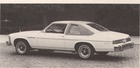 Buick Skylark (1976)