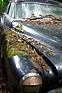 Buick Super - der Lack verwittert - Autoskulpturenpark Neandertal